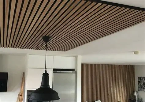 Panel Nenfwd Acwstig