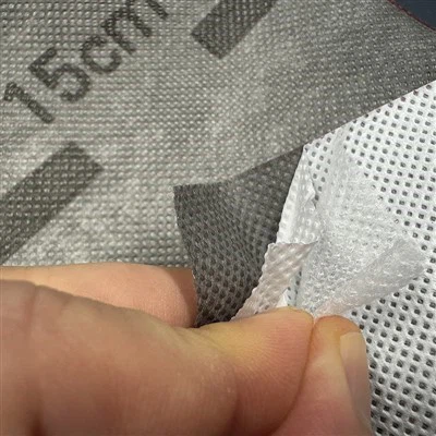 Pilen Anadlu Dal dwr